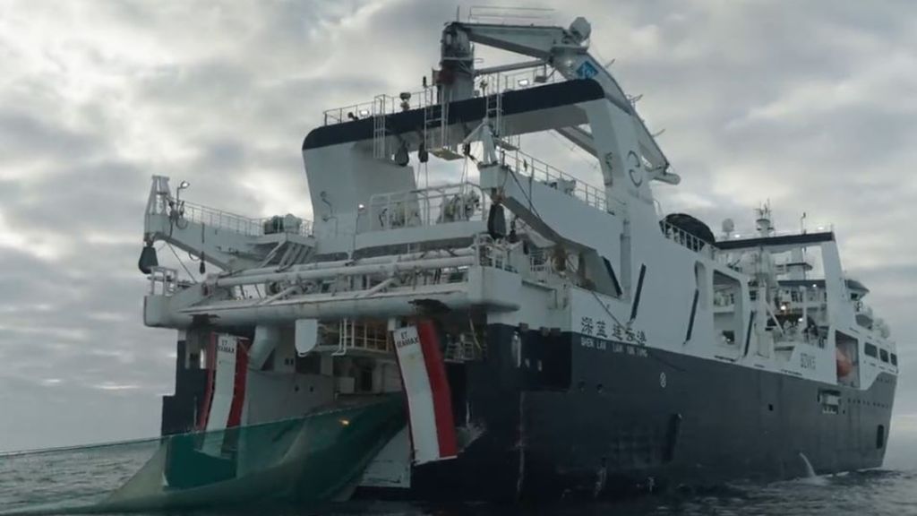 Verhaftung eines Krill-Schützers: Moskau geht gegen Wissenschaftler vor