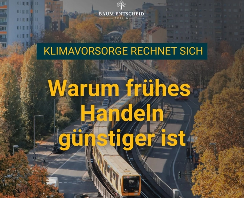 Grünes Signal aus Berlin: BäumePlus-Gesetz einstimmig beschlossen