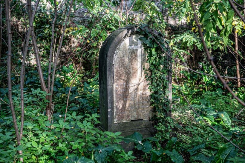 foto della tomba coperta d’edera