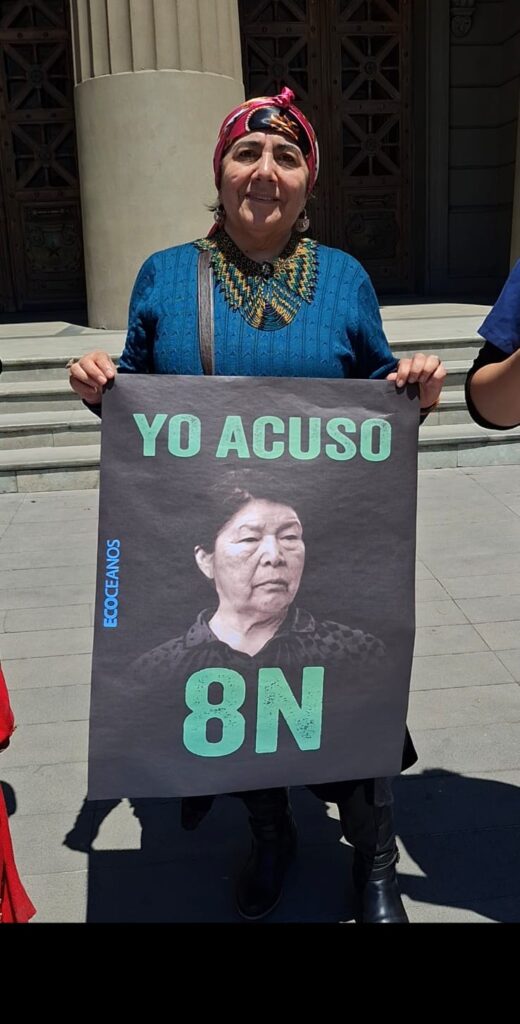 Movilizaciones en todo Chile a un año de la desaparición de la activista mapuche Julia Chuñil Movilizaciones en todo Chile a un año de la desaparición de la activista mapuche Julia Chuñil