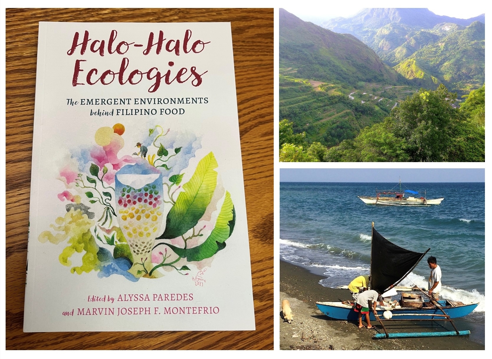 Bridging the Social and Natural Sciences Divide: Reflections on the Book, “Halo Halo Ecologies”