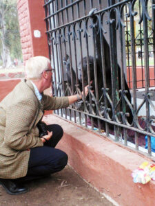 Convenio CITES: una brecha abierta al Tráfico Ilegal