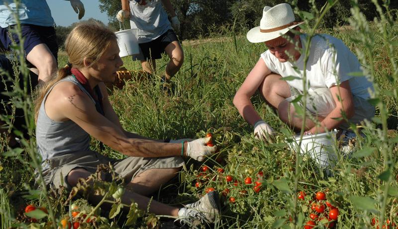 bene confiscato alla mafia