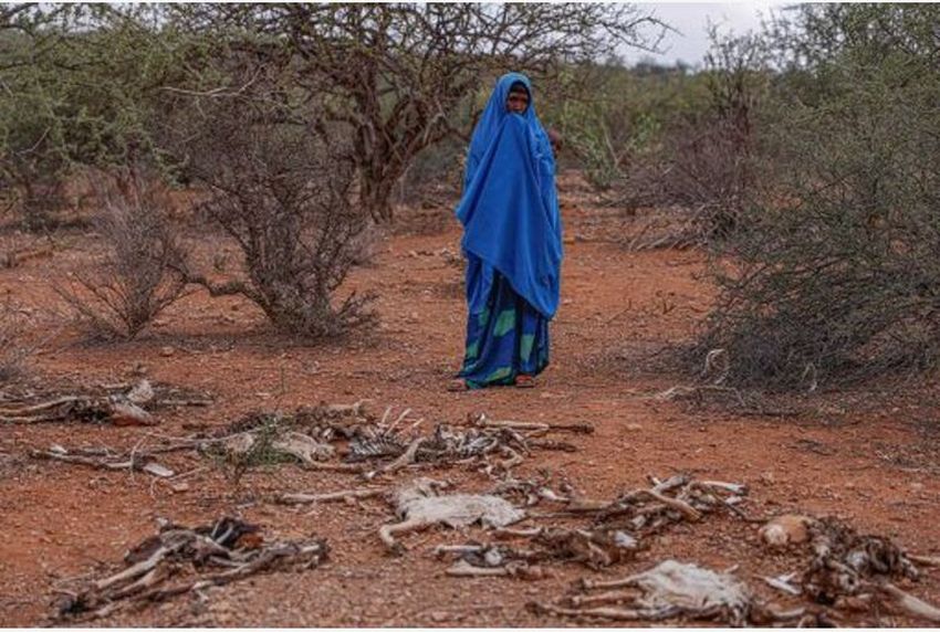 Humanitarian crisis worsens due to drought in Somalia