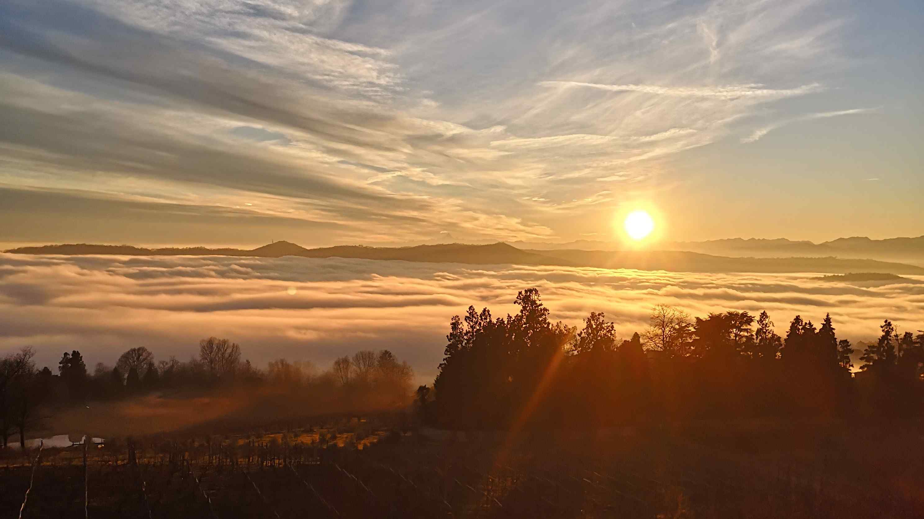 immagine di alba su nebbia
