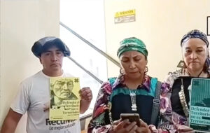 Comunidades mapuche manifiestan en defensa de la vida de todxs
