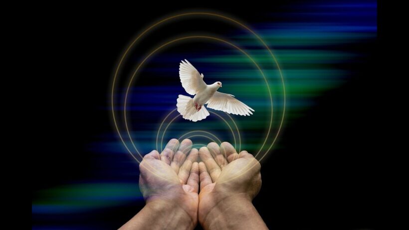 Plattform für Frieden: Website ‚rausausderNATO.com‘ wird zur Informationszentrale ausgebaut