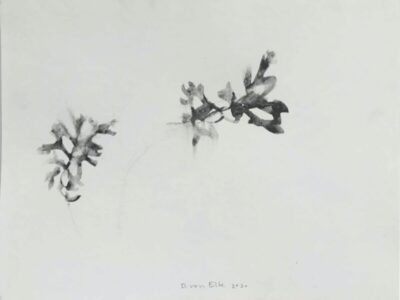 Von Elbe 6 Expo Equilibrio Natural (3)