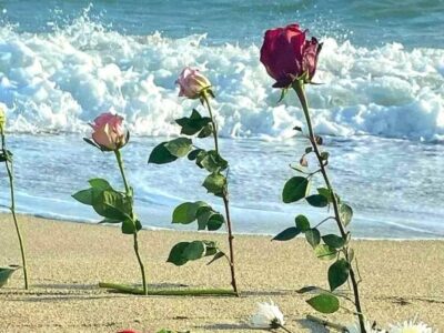 fiori sulla spiaggia di Cutro Rete 26 febbraio