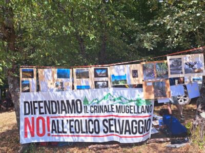 no alleolicoselvaggio-comitato mugellano