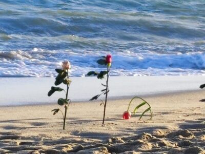 fiori spiaggia Cutro rit