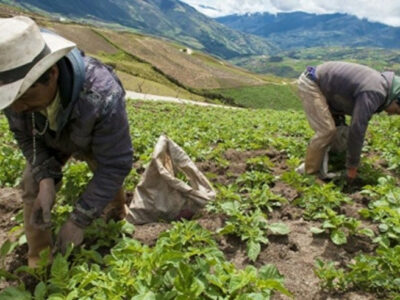 Kolumbien-Agrarreform-Umverteilung-Kleinbauern