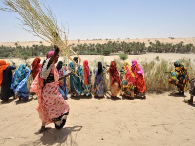 Women in Boula-Ngara, Chad, build a windbreak fence to protect the nearby river, allowing them to plant a vegetable garden to meet their families' food needs.