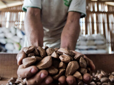 Marcelo Camargo-Agência Brasil