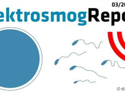 WLAN-schädlich-neue-Studien-Menschen-Ratten-Bienen