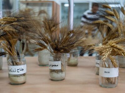 banca semi palestina Un ponte Per