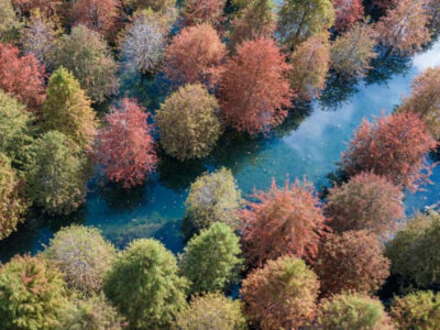 Paesaggio autunnale di un parco forestale nella contea di Changxing, nella città di Huzhou, nella provincia orientale cinese dello Zhejiang