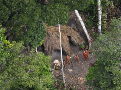 1 Uncontacted copia survival