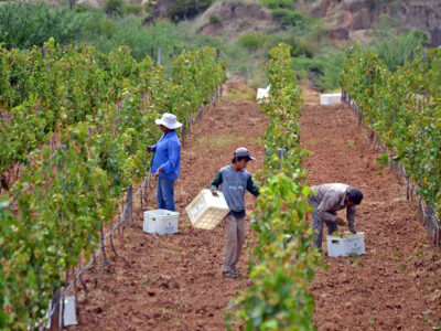 de Pablo Andrés Rivero-flickr