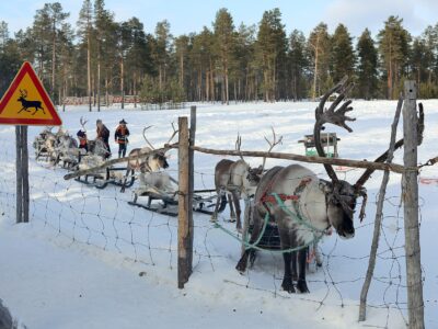 Reindeer farm near Inari, Finland