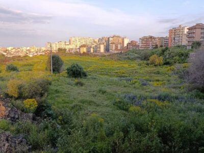 orti-della-susanna-cover-1