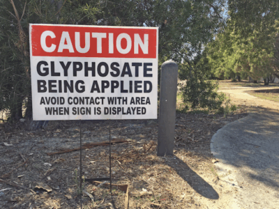 der korrupte Abgrund