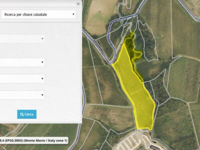 Immagine 2026-02-28 091010