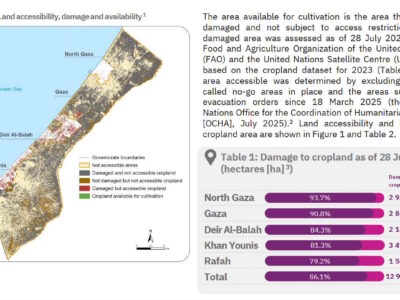2025. Reported impact snapshot | Gaza Strip (23 July 2025).