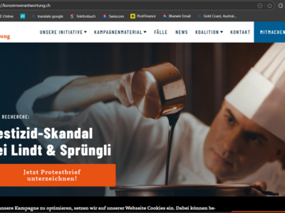 Kampagne für mehr Konzernverantwortung. (Bild: Screenshot)