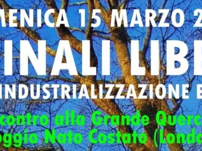 locandina camminata crinali