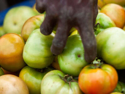 Depositphotos_191725684_S