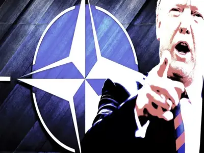 e31a7e78-770f-488a-8e68-49a09adf017d_800x600