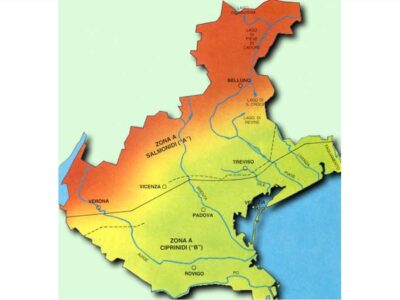 Mappa dei principali fiumi veneti pubblicata da MagicoVeneto.it