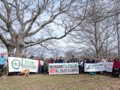 striscioni sotto la grande quercia