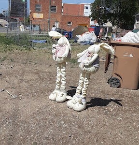 Homeless encampment in Regina is getting ready for removal. June 2025.