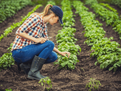 Sorgsam behält die junge Bäuerin das Gepflanzte im Blick. (© titov/depositphotos)