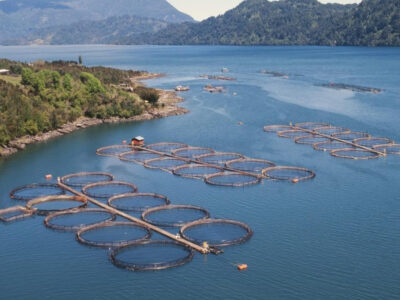 Salmoneras en la patagonia_junio 2025