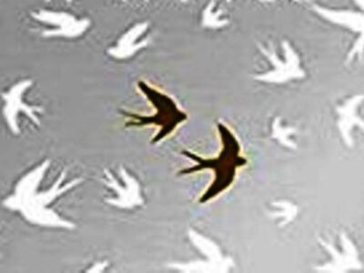 immagine tratta dal romanzo "Apeirogon"  di Colum McCann (edizione in lingua inglese)