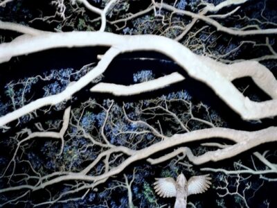 Mostra fotografica sugli alberi a Sirmione - 1