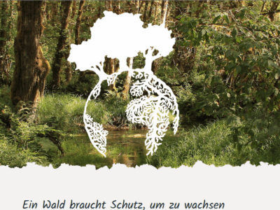 Die solidarische Baumschule Freiwald e.V braucht derzeit dringend weitere Mitgliedschaften! Interessierte mögen sich bitte melden.