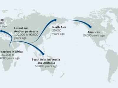 41586_2016_Article_BFnature19471_Fig1_HTML