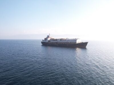 Lebendtiertransport-Spiridon II-Organisator-soll-Tod-der-Rinder-bewusst-in-Kauf-genommen-haben