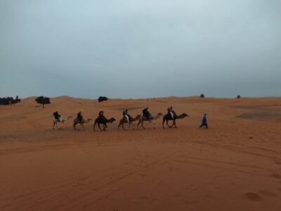 WhatsApp Image 2026-04-08 at 21.13.32