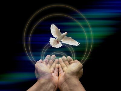 Plattform für Frieden: Website ‚rausausderNATO.com‘ wird zur Informationszentrale ausgebaut