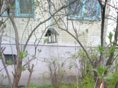 casetta x uccellini Karkov rit