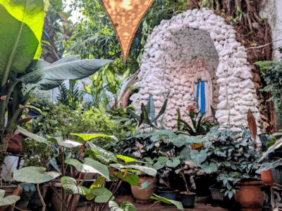 The small garden between the hospital and the house. Where what cannot be carried can and is finally set down.