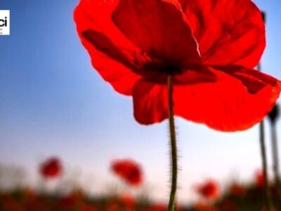 17 aprile 2026 servola PIC