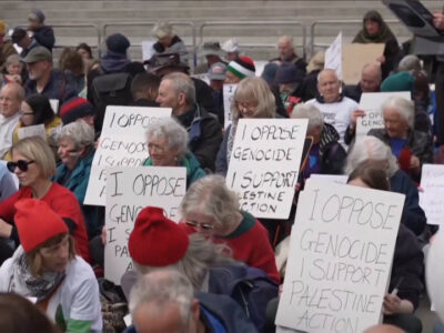 HL4-Palestine-Action-UK